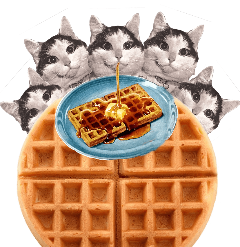 Cats gathered around a waffle